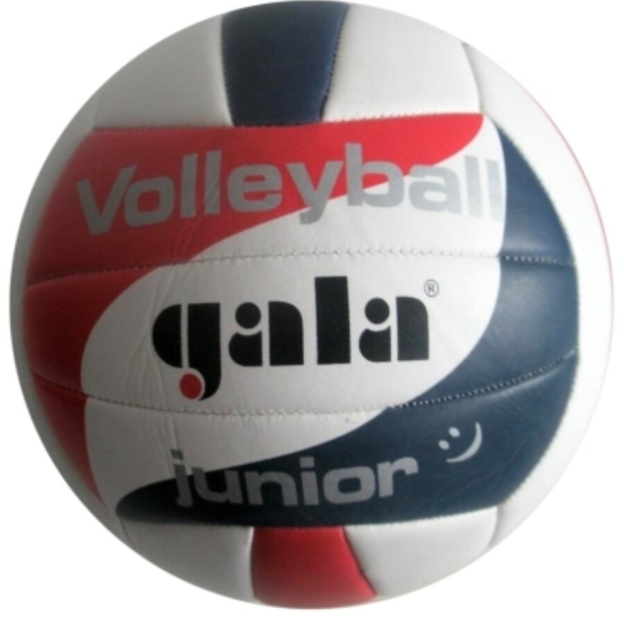 Různobarevný volejbalový míč BV5093S, Gala - velikost 5