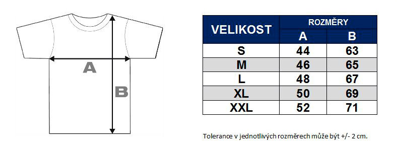 Šedé dámské tričko s krátkým rukávem &amp;quot;Česká reprezentace&amp;quot;, CCM - velikost S